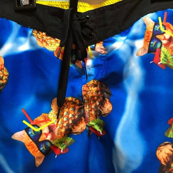Bioworld Cat Pineapple Drawstring Board Shorts - Picture 4 of 10